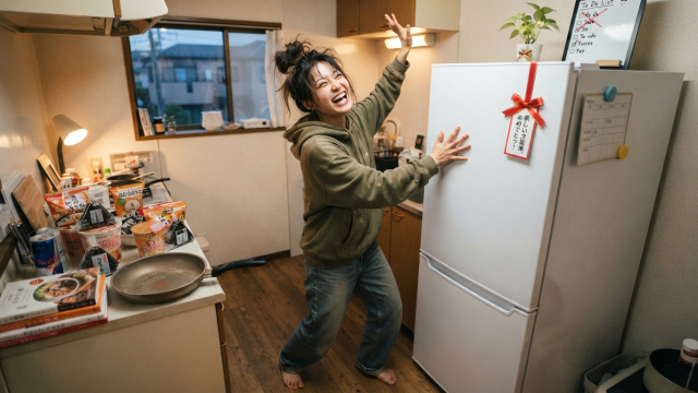IRSN-HF24A-W：独身女子が狂喜したアイリス巨大冷凍庫